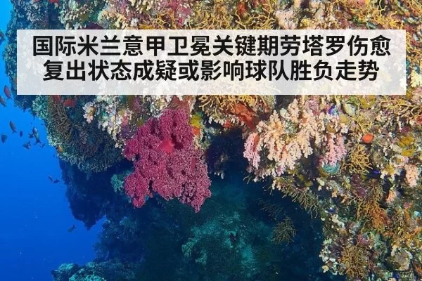 国际米兰意甲卫冕关键期劳塔罗伤愈复出状态成疑或影响球队胜负走势