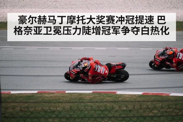 motorcycle racer cornering